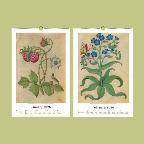 Botanical calendar pages, January and February 2026