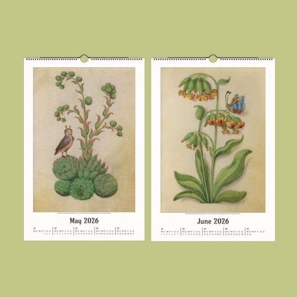 2026 nature calendar with botanical illustrations.