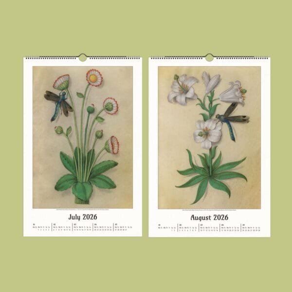 Botanical calendar for July and August 2026.