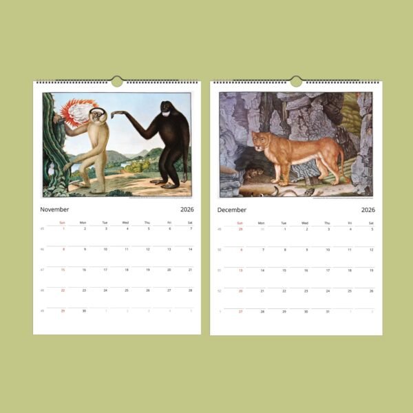2026 calendar pages for November and December.