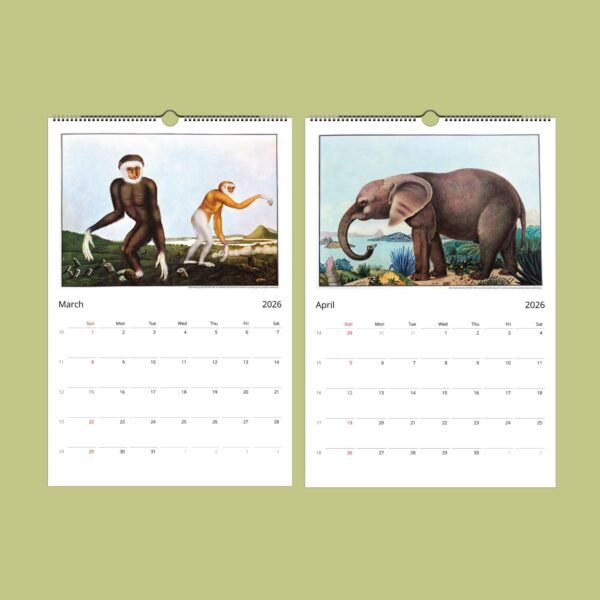 2026 calendar with animal illustrations for March and April.