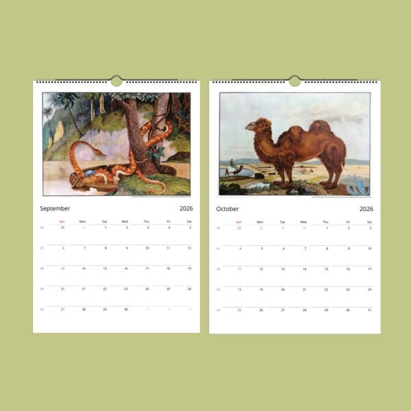 2026 calendar pages featuring exotic animals.