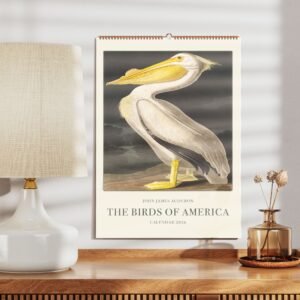 Birds of America wall calendar with pelican illustration.