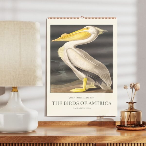 Birds of America wall calendar with pelican illustration.