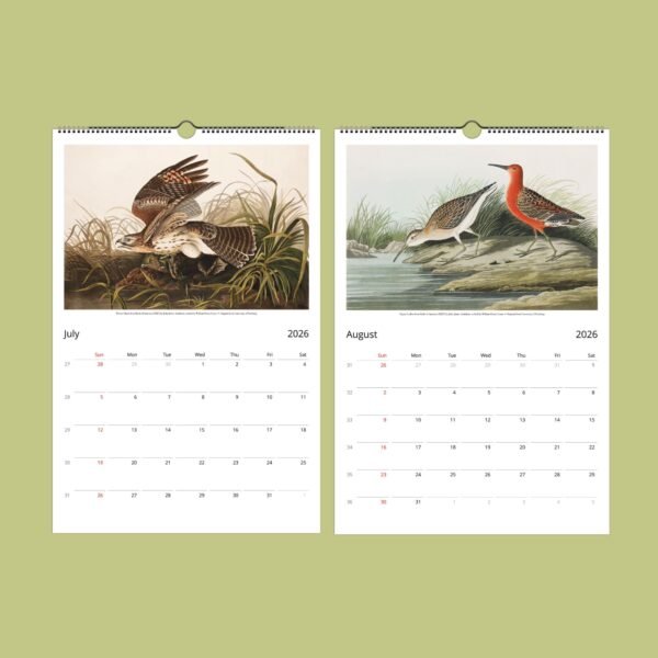Bird illustrations on July and August 2026 calendar pages.
