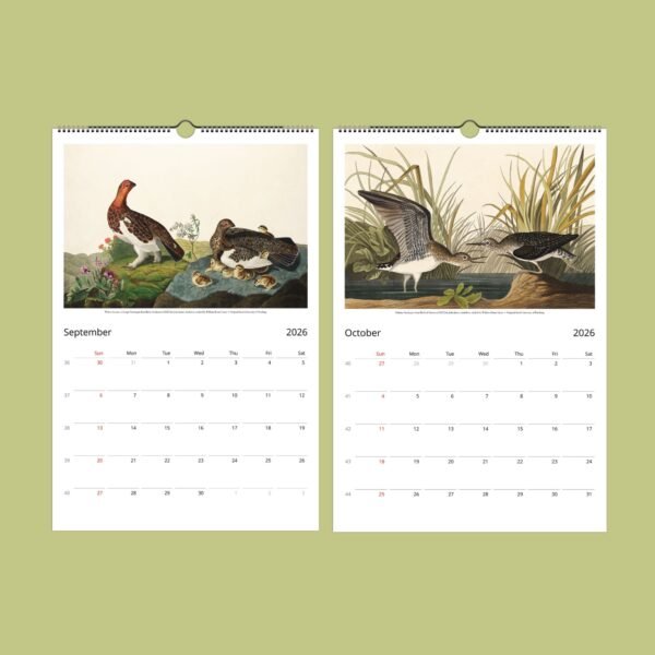 2026 September October calendar with bird illustrations