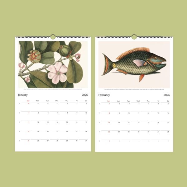 2026 calendar with botanical and fish illustrations.
