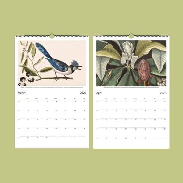 2026 wall calendar with bird and plant illustrations.