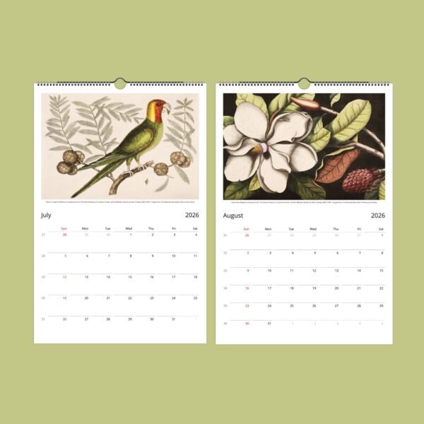 Vintage bird and flower illustrations on 2026 calendar.