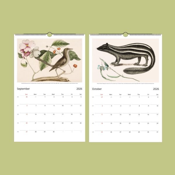 2026 calendar with bird and skunk illustrations.