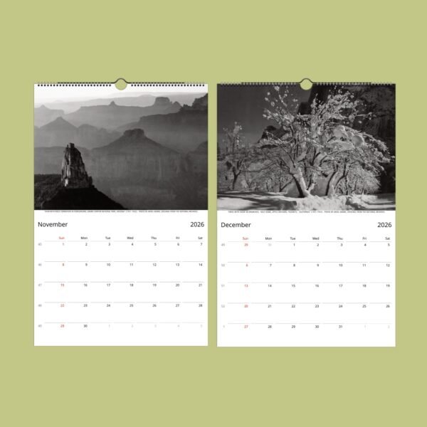 2026 calendar showing November and December.