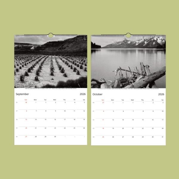 Black and white 2026 calendar pages, nature scenes.