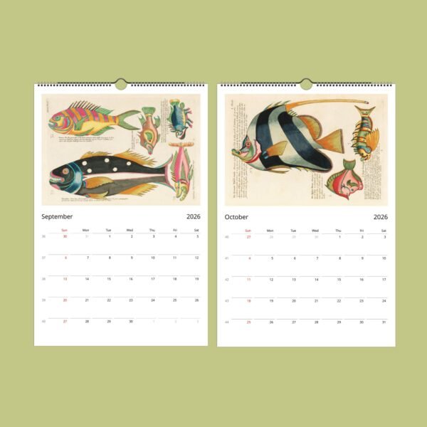 2026 calendar with vintage fish illustrations.