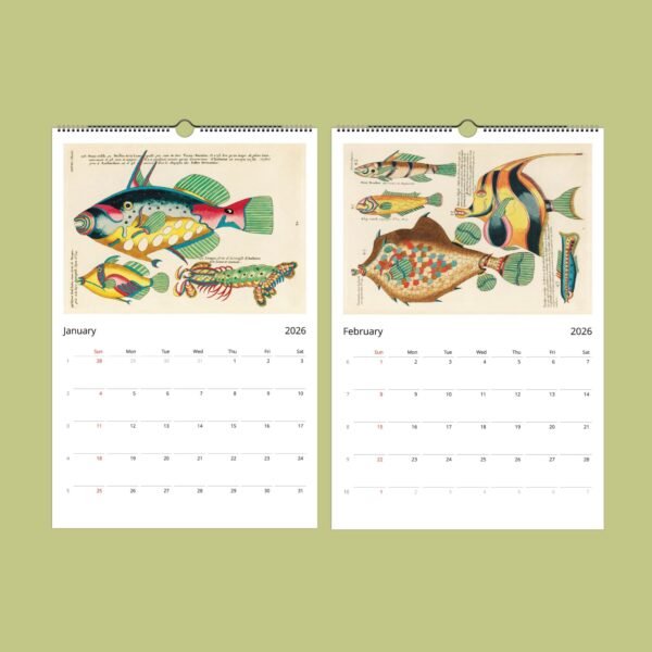 2026 calendar with vintage fish illustrations.