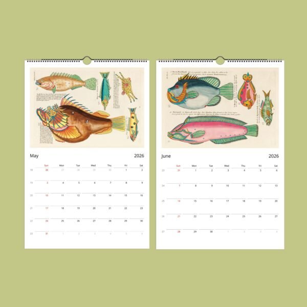 Colorful fish illustrations on May-June 2026 calendar pages.