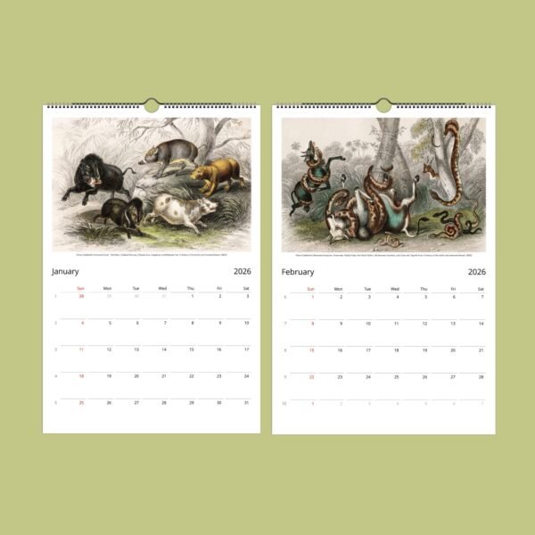 2026 wall calendar with vintage animal illustrations