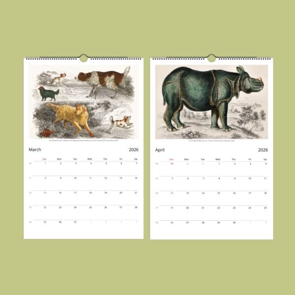 A History of the Earth and Animated Nature | Wall Calendar - Image 3