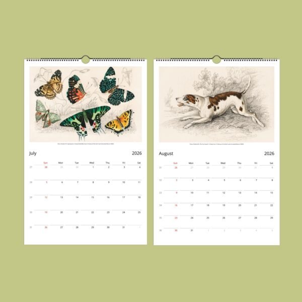 2026 calendar with butterfly and dog illustrations.