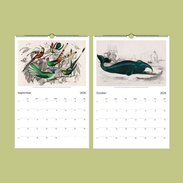 2026 calendar featuring artwork of birds and whale.