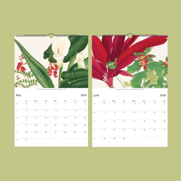 May and June 2026 floral calendar pages.