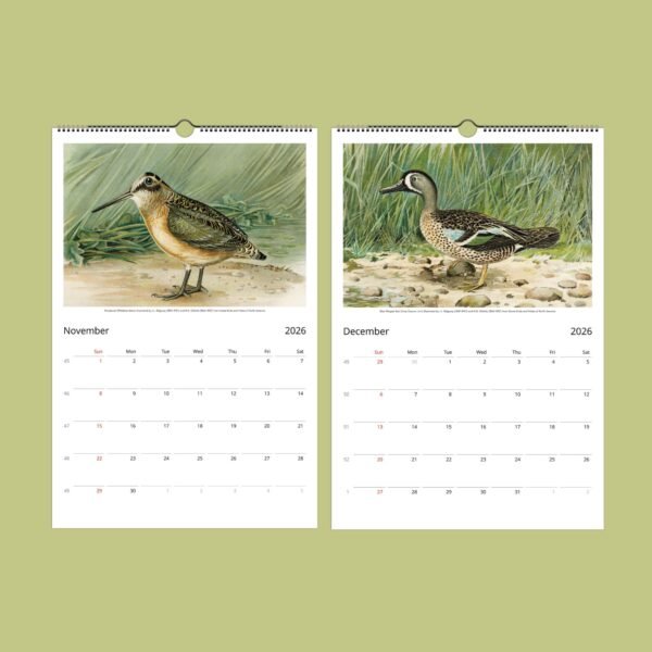2026 calendar pages with bird illustrations