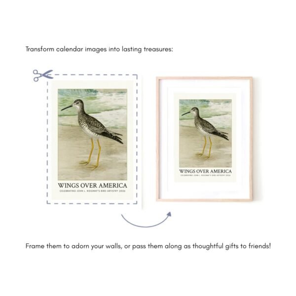Calendar print framed as bird artwork gift.