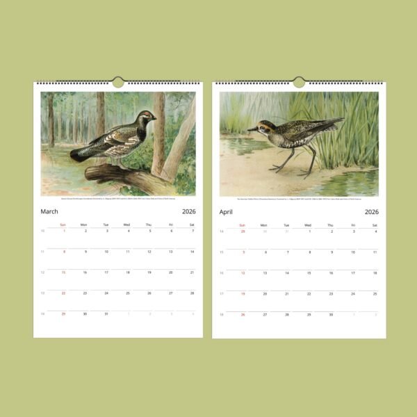 2026 March-April calendar pages with bird illustrations.