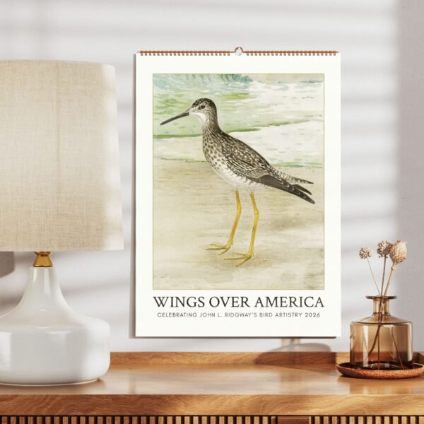 Bird illustration on 'Wings Over America' calendar.