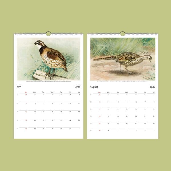 2026 calendar with bird illustrations for July, August.