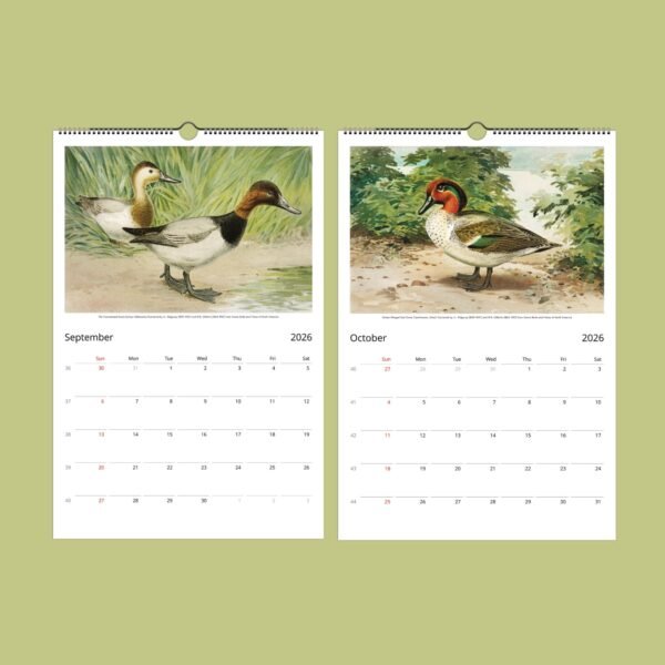 2026 calendar featuring bird illustrations for September, October.
