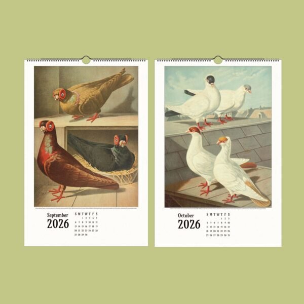2026 calendar with illustrated pigeons, September and October.
