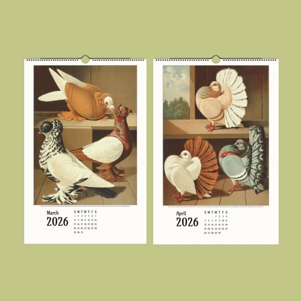 2026 pigeon-themed calendar for March and April displays.