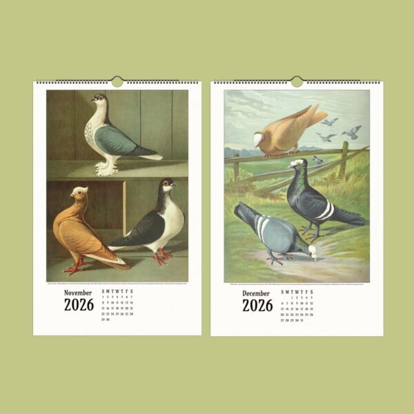Vintage calendar featuring pigeons, November and December 2026.