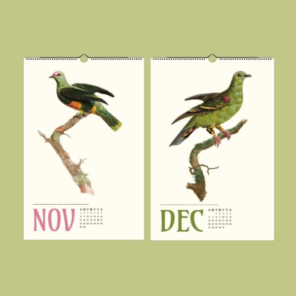 Bird illustrations on calendar for November and December.