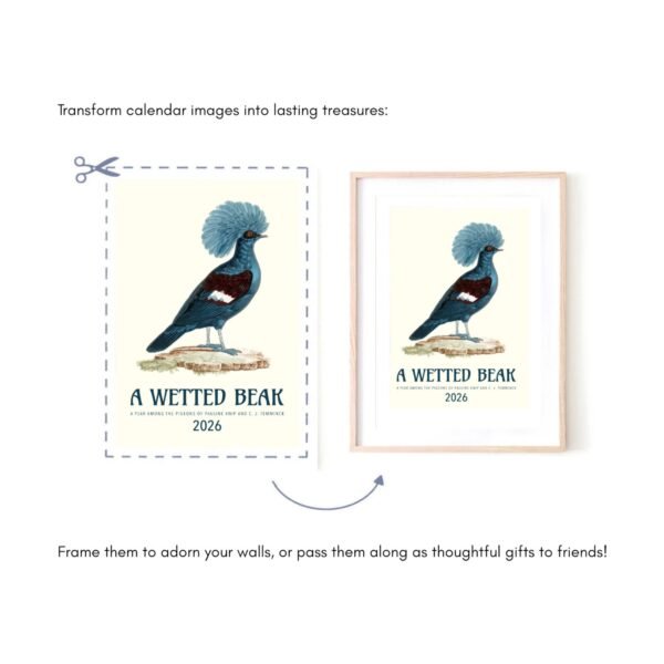 Calendar page with bird framed for decor