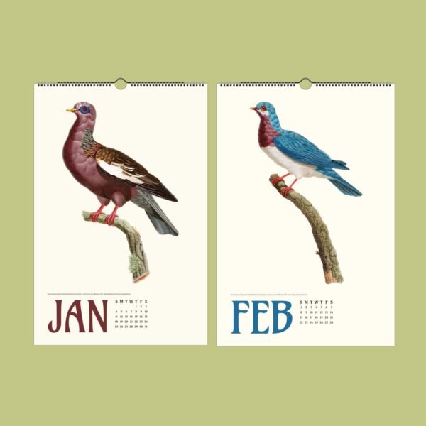 Vintage bird illustrations on January and February calendars.