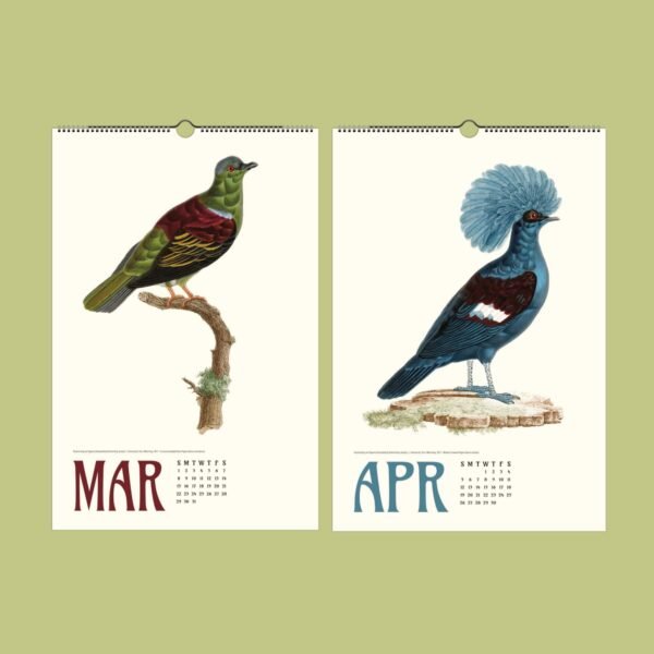 Vintage bird illustrations for March and April calendar.