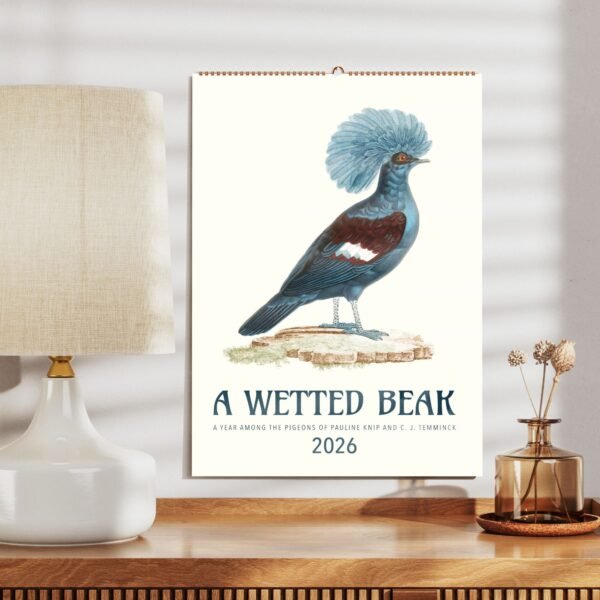 Calendar titled 'A Wetted Beak', pigeon illustration.