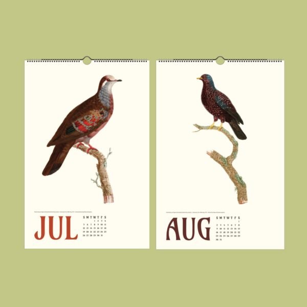 July August bird calendar pages