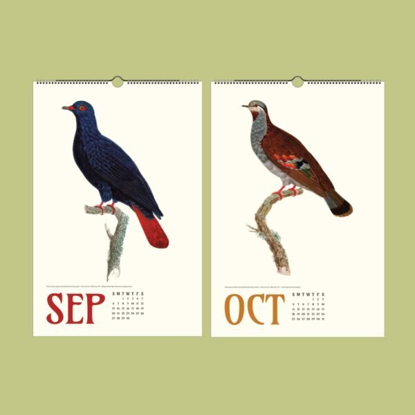 Calendar pages featuring birds for September and October.