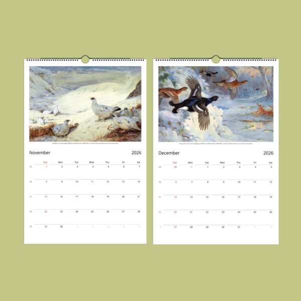 November and December 2026 calendar with winter bird art.