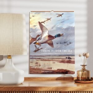 Duck illustration calendar on wall above wooden desk.