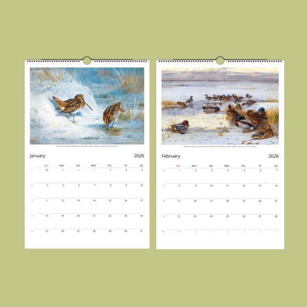 2026 bird calendar showing January and February art.