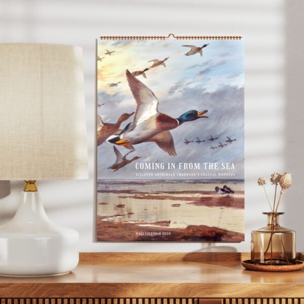 Duck illustration calendar on wall above wooden desk.