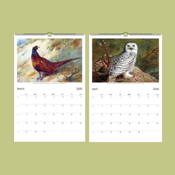 March and April 2026 wildlife calendar pages.
