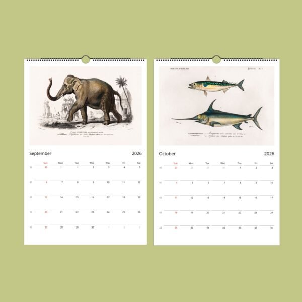 2026 calendar with elephant and fish illustrations