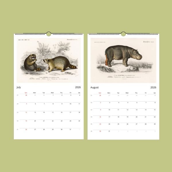 Vintage animal illustrations calendar for July and August 2026.