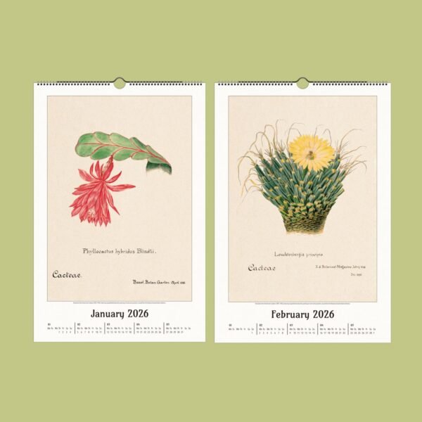 Botanical calendar illustrations January and February 2026.