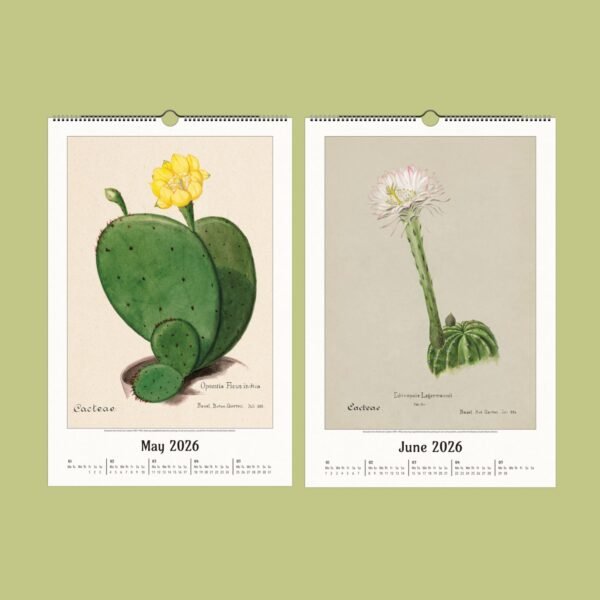 2026 calendar pages with cactus illustrations.