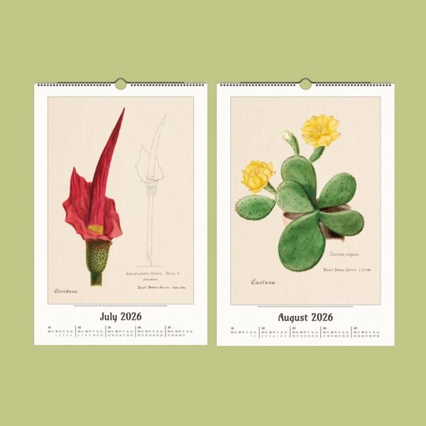 Botanical calendar pages for July and August 2026